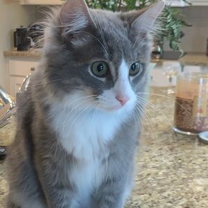 Meet your Posher, Claudine